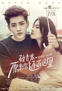 دانلود فیلم Never Gone 2016110283-127231156