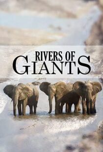 دانلود مستند Rivers of Giants 2005102245-339078924