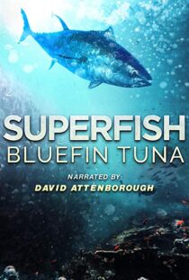 دانلود مستند Superfish Bluefin Tuna 2012101607-1864586086