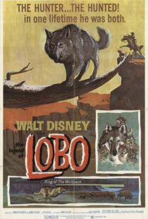 دانلود فیلم The Legend of Lobo 1962111441-220621782
