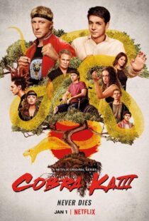 دانلود سریال Cobra Kai78550-911653191