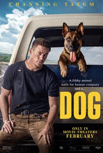 دانلود فیلم Dog 2022116739-1370632981