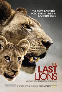 دانلود مستند The Last Lions 2011195626-1133035928