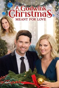 دانلود فیلم A Godwink Christmas: Meant for Love 201931842-1313972195