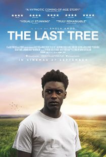 دانلود فیلم The Last Tree 201931686-2083776514