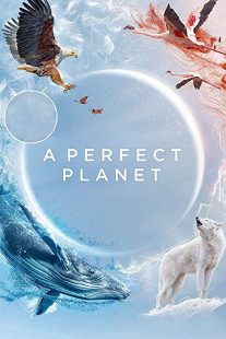 دانلود مستند A Perfect Planet231098-1727751100