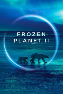 دانلود مستند Frozen Planet II268784-628023672