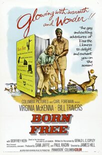 دانلود فیلم Born Free 1966323518-1041077360