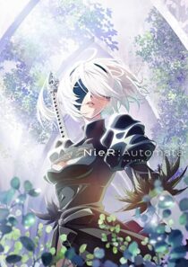 دانلود انیمه Nier: Automata Ver1.1a323874-1762993966
