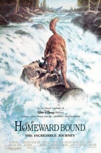 دانلود فیلم Homeward Bound: The Incredible Journey 1993371118-653675348