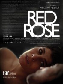 دانلود فیلم Red Rose 2014373098-1098684034