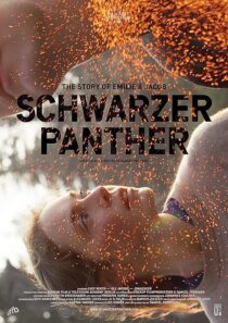 دانلود فیلم Schwarzer Panther 2014376723-1381029333