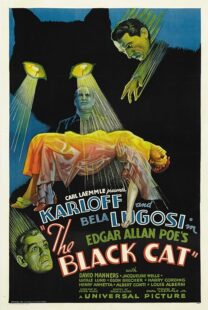 دانلود فیلم The Black Cat 1934378235-1741148375