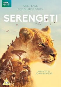 دانلود سریال Serengeti378761-395753294