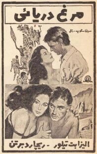 دانلود فیلم The Sandpiper 1965381611-1252221676
