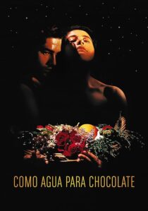 دانلود فیلم Like Water for Chocolate 1992387861-2141626641