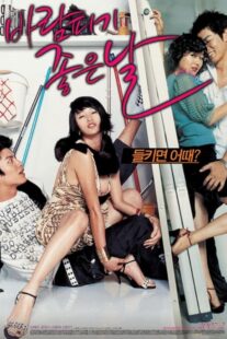 دانلود فیلم کره‌ای A Good Day to Have an Affair 2007384531-856733334