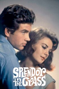دانلود فیلم Splendor in the Grass 1961382554-696827497