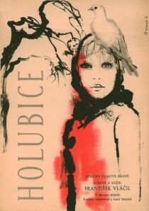 دانلود فیلم The White Dove 1960388096-2002002001