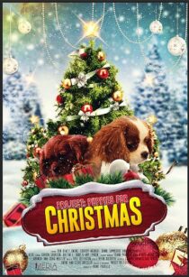 دانلود فیلم Project: Puppies for Christmas 2019390454-1691695093
