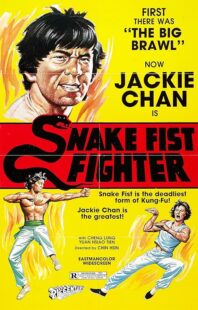 دانلود فیلم Snake Fist Fighter 1973388650-905490822