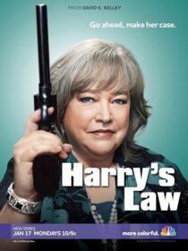 دانلود سریال Harry’s Law393952-1665295137