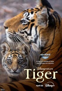 دانلود مستند Tiger 2024396409-1129185657