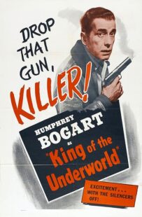 دانلود فیلم King of the Underworld 1939399475-289962041