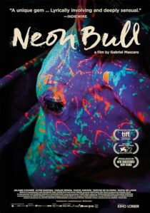 دانلود فیلم Neon Bull 2015396774-1582326292