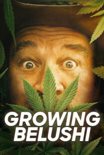 دانلود سریال Growing Belushi400424-247800423