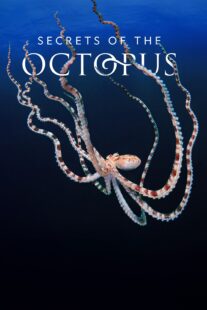 دانلود سریال Secrets of the Octopus401286-1530242188