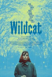 دانلود فیلم Wildcat 2023404833-1641957484
