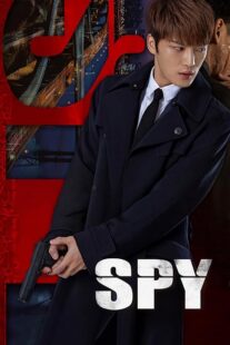 دانلود سریال کره‌ای Spy408633-645035513