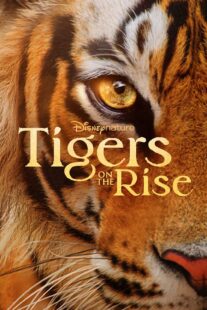 دانلود مستند Tigers on the Rise 2024407068-117040989
