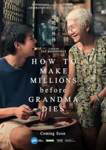 دانلود فیلم How to Make Millions Before Grandma Dies 2024409793-832090926