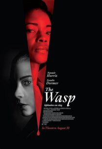 دانلود فیلم The Wasp 2024411027-1026077411
