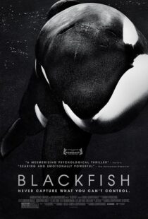 دانلود فیلم Blackfish 2013412328-1803803311