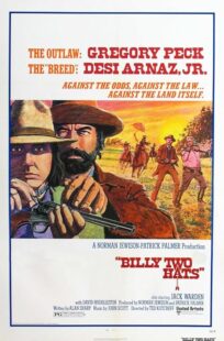 دانلود فیلم Billy Two Hats 1974411057-1528707865