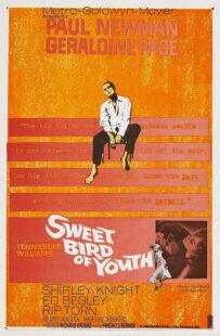 دانلود فیلم Sweet Bird of Youth 1962415738-1325094758