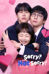 دانلود سریال کره ای Sorry Not Sorry416748-1418339083