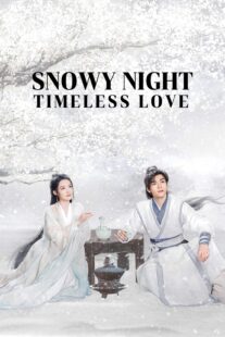 دانلود سریال Snowy Night Timeless Love417168-1803376002