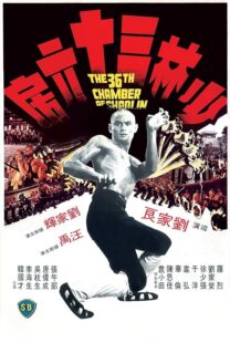 دانلود فیلم The 36th Chamber of Shaolin 1978418237-1738893303