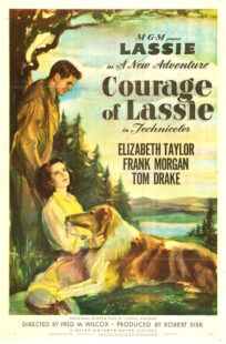 دانلود فیلم Courage of Lassie 1946417427-1151009760