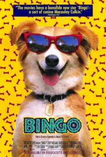 دانلود فیلم Bingo 1991417459-207716403