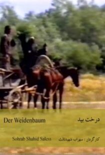 دانلود فیلم The Willow Tree 1984418953-1401556529