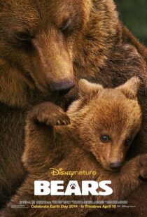 دانلود مستند Bears 2014419641-306830393