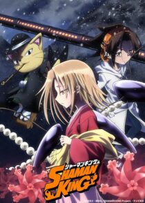 دانلود انیمه Shaman King422246-750436492