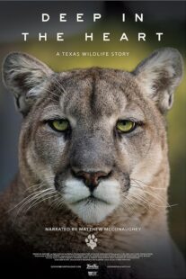 دانلود مستند Deep in the Heart: A Texas Wildlife Story 2022421545-880719528