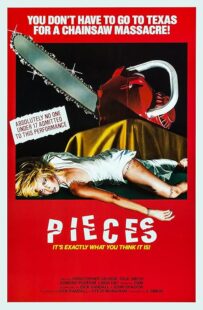 دانلود فیلم Pieces 1982422164-1655297626