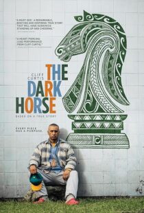 دانلود فیلم The Dark Horse 2014423794-1179209252